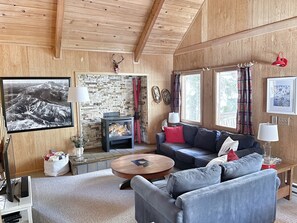 Living room with gas fireplace, TV, dvd library, and premium sound