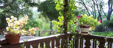 View from the Guest House porch.