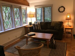 Living room with full sofa bed and propane stove.