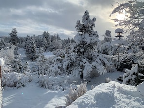 View to the East in winter (Jan 2022)