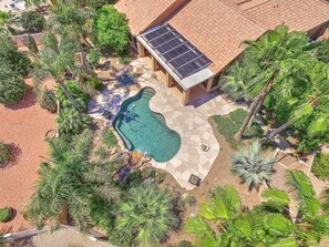 Huge, lush backyard
