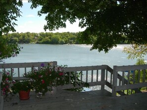 Perfect loon view from upper deck