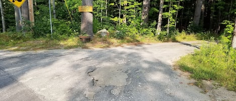 施設の敷地