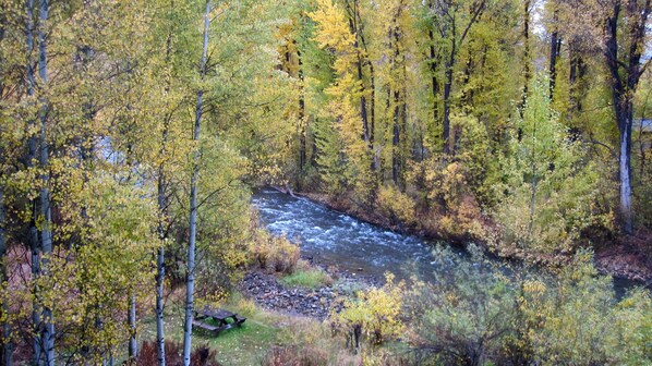 LOWER ACREAGE WITH PICNIC TABLE