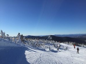 VIEWS THAT GO ON FOREVER=MT WASHINGTON