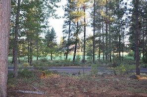 View of Meadows 5th Fairway from Backyard