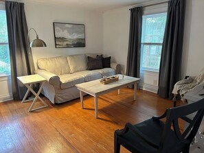 Living Room - New Couch, TV, Blackout Curtains.