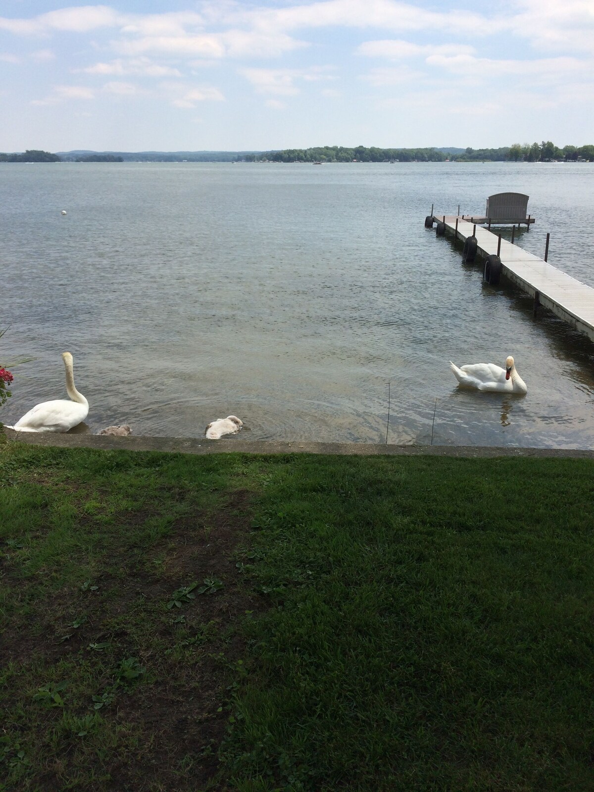 Pet And Family Friendly on Gun Lake close to state park,restaraunts and casino.