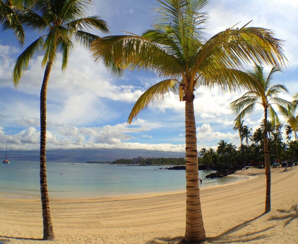 Owner's Beach...some of the best snorkeling on the island!