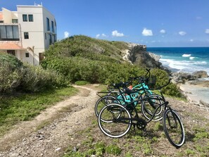 Bicycles available for use 