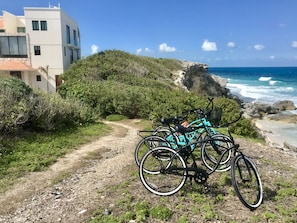 Bicycles available for use 