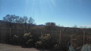 Another Sunlit Day at Casa Tres Arroyos