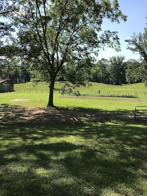 View from Front Porch