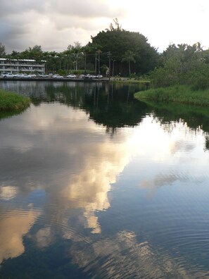 View from the deck.
