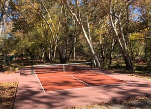 Brand new PICKLE BALL COURT built in November 2021 in the backyard! 