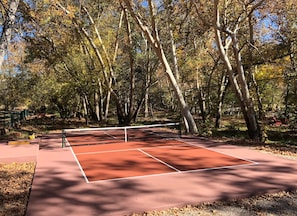 Brand new PICKLE BALL COURT built in November 2021 in the backyard! 