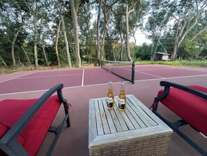 Pickle Ball Court in the yard