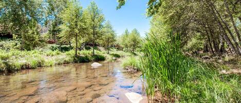 Beautiful Creek in the back yard! Completely gated from yard so safe for kids!