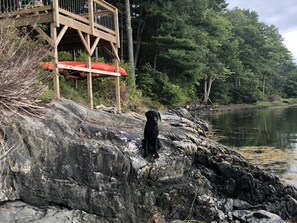 Hanging out below our water's edge deck