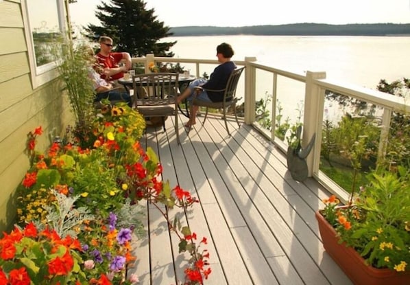 Marion's flowers and herbs brighten the morning light on our deck