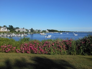 Port de plaisance