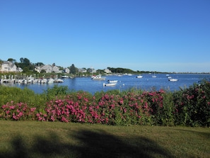 View from house to salt pond