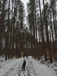 Up North Cabin Retreat - Rivers, Lakes, ATV/Snowmobile Trails Await Your Arrival