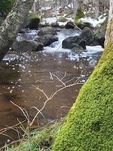 Up North Cabin Retreat - Rivers, Lakes, ATV/Snowmobile Trails Await Your Arrival