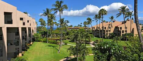 The View from our extra large lanai overlooking gardens and out to the ocean