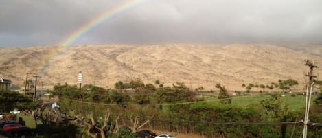 Rainbow over  fields behind the condo