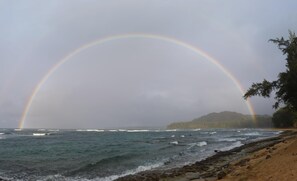 Amazing rainbows