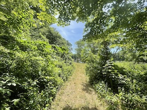 Trail from the cottage to the river.