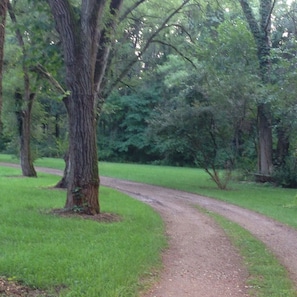 Private Road to Cottage.