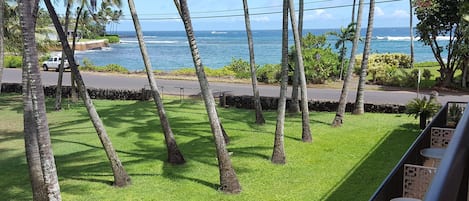 View of the ocean and Prince Kuhio Park from the lanai