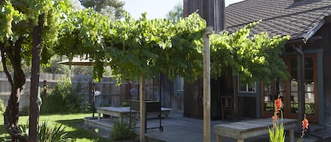 Backyard Deck- early spring