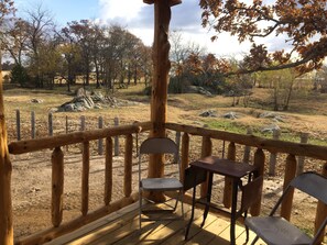 Back porch view of granite outcroppings. Pond is to the right.