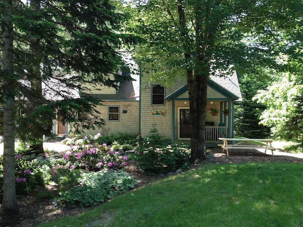 Heartwood Home: 8ft picnic table, Weber grill and an endless wooded paradise!