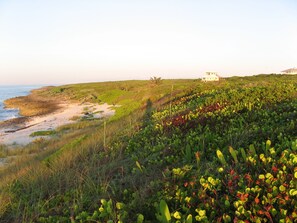 View of house from ocean beach sand dune..