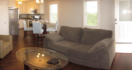 Full size sleeper sofa in the living area.