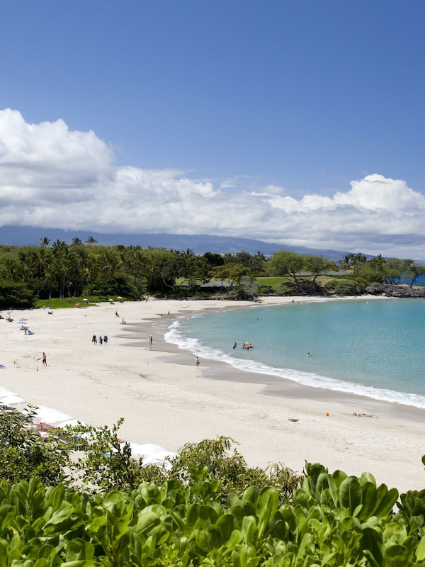 World-class Mauna Kea Beach just 15 minutes away!