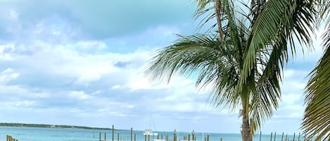 Our yard and private dock and beach. Keep eye on your boat!