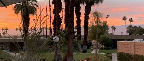 Warm sunsets from pool facing patio.