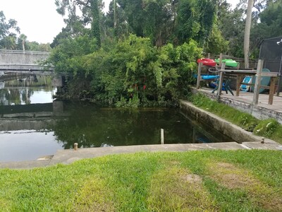 Waterfront paradise exists here in Crystal River. Come find it here with us 🧜‍♀️🌴🐬🌺