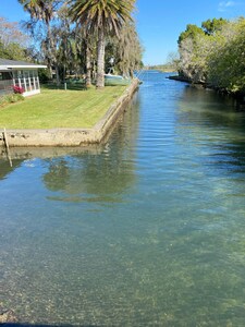 Waterfront paradise exists here in Crystal River. Come find it here with us 🧜‍♀️🌴🐬🌺