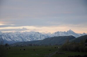 View from Bedroom Window