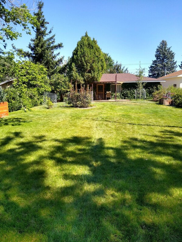 Cottage front yard in summer
