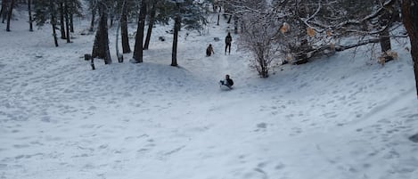 Enjoy free sledding at the Peach with this sledding area a few steps away.