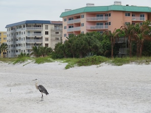 View of Beach Cottage building from beach