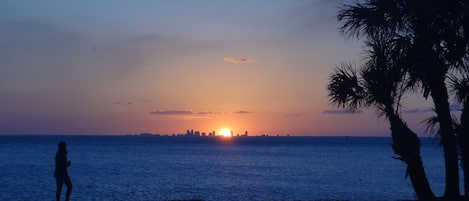 Enjoy amazing sunsets over Tampa Bay