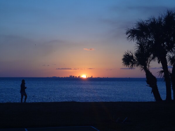 Enjoy amazing sunsets over Tampa Bay